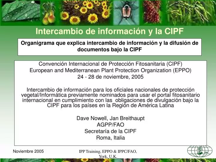 organigrama que explica intercambio de informaci n y la difusi n de documentos bajo la cipf