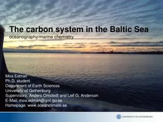 The carbon system in the Baltic Sea oceanography/marine chemistry