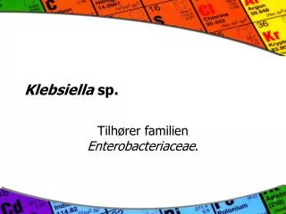 klebsiella sp