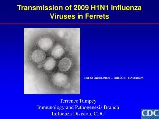 Transmission of 2009 H1N1 Influenza Viruses in Ferrets