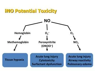 Acute lung injury Cytotoxicity Surfactant dysfunction