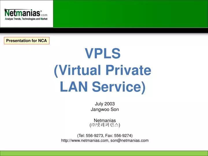 vpls virtual private lan service
