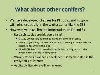 What about other conifers?