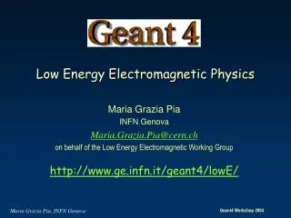 Low Energy Electromagnetic Physics