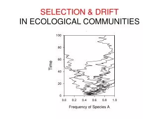 SELECTION &amp; DRIFT IN ECOLOGICAL COMMUNITIES
