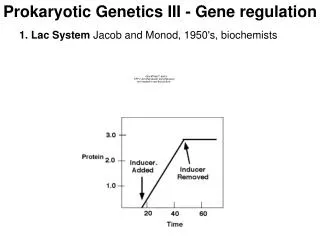 Prokaryotic Genetics III - Gene regulation