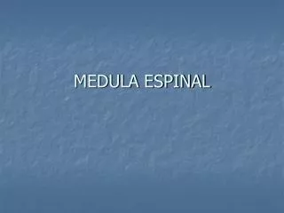 medula espinal