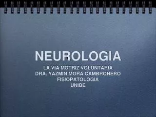 neurologia