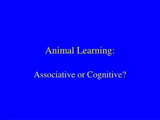 Animal Learning: