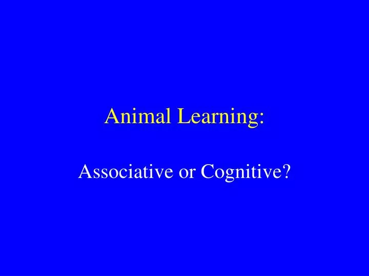 animal learning