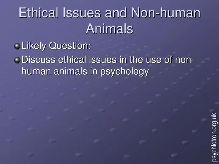 ethical issues and non human animals