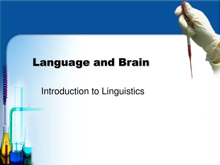 language and brain