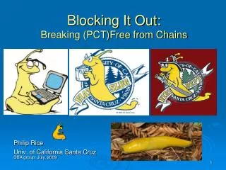 Blocking It Out: Breaking (PCT)Free from Chains