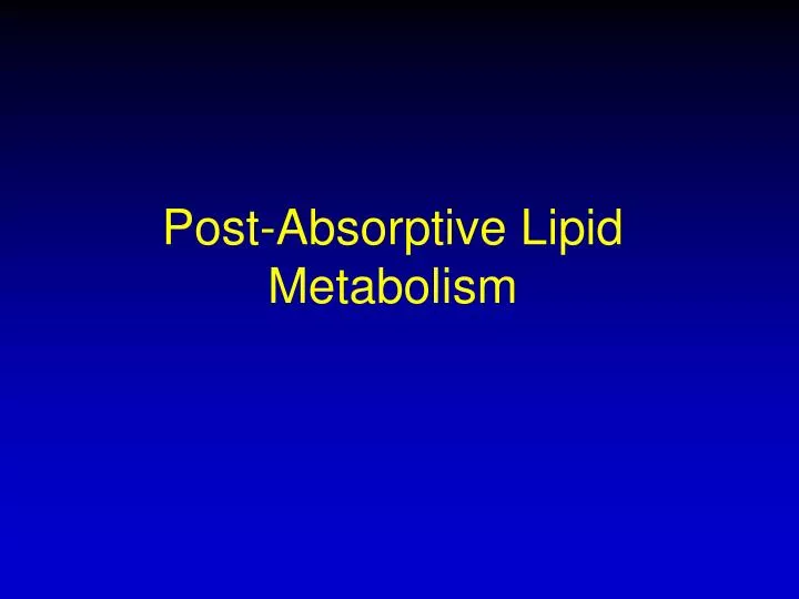 post absorptive lipid metabolism