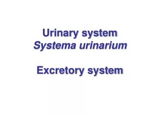 Urinary system Systema urinarium Excretory system