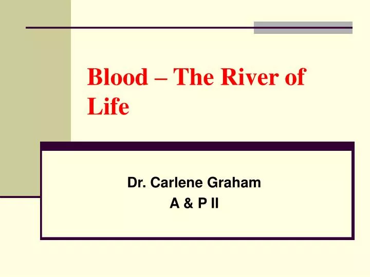 blood the river of life