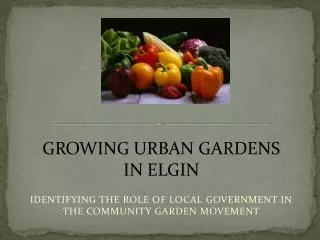 IDENTIFYING THE ROLE OF LOCAL GOVERNMENT IN THE COMMUNITY GARDEN MOVEMENT