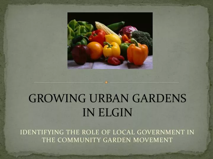 identifying the role of local government in the community garden movement