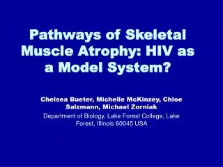 Pathways of Skeletal Muscle Atrophy: HIV as a Model System?