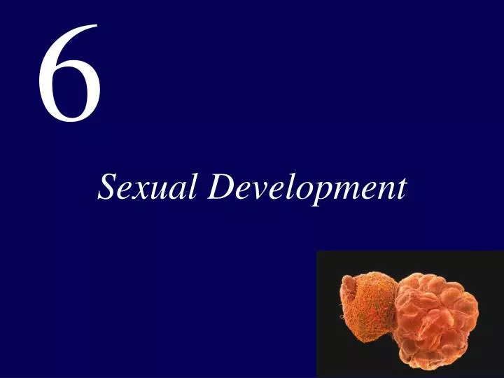 sexual development