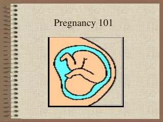 Pregnancy 101