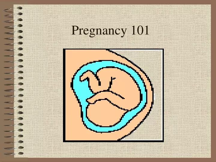 pregnancy 101