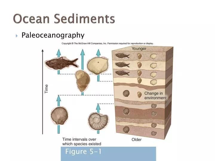 ocean sediments