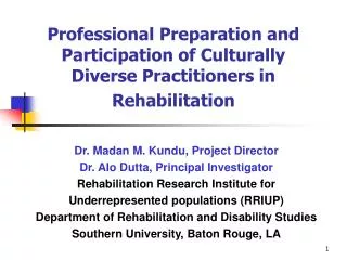 Professional Preparation and Participation of Culturally Diverse Practitioners in Rehabilitation