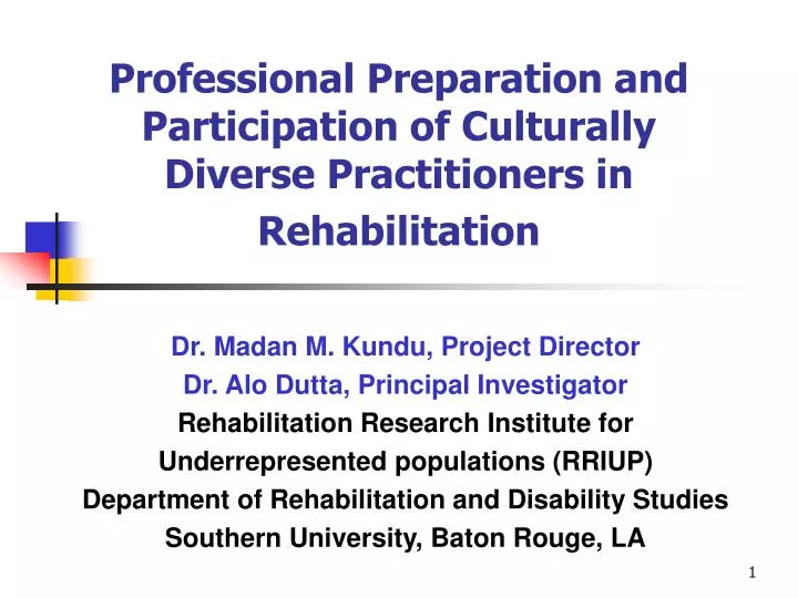 professional preparation and participation of culturally diverse practitioners in rehabilitation