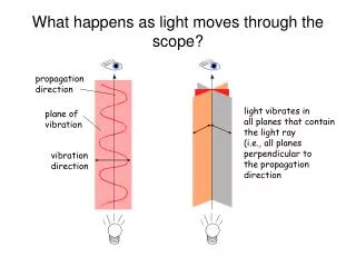 light vibrates in all planes that contain the light ray (i.e., all planes perpendicular to