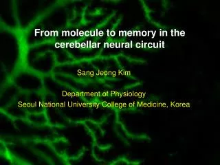 From molecule to memory in the cerebellar neural circuit