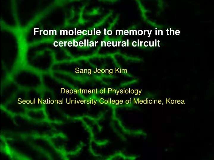 from molecule to memory in the cerebellar neural circuit