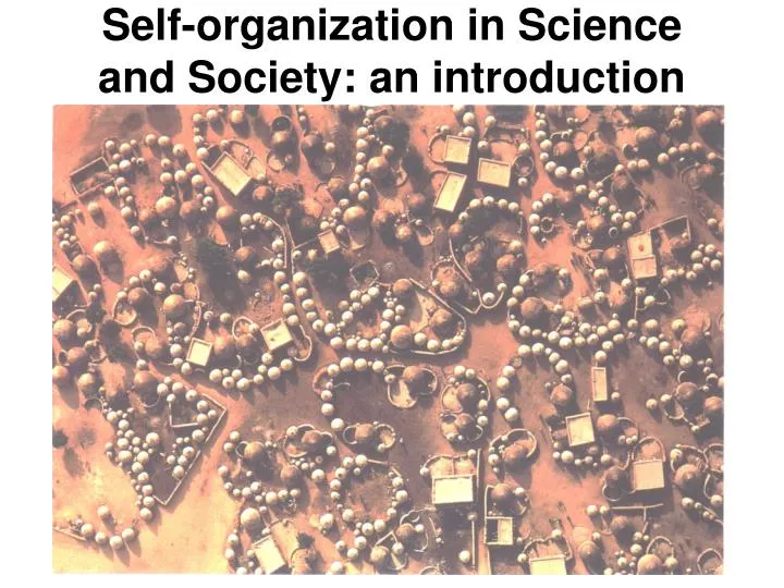self organization in science and society an introduction