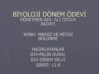b yoloj d nem dev
