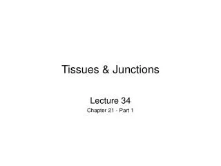 Tissues &amp; Junctions