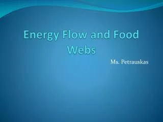 Energy Flow and Food Webs