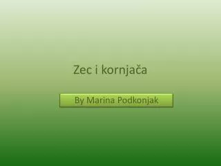 zec i kornja a