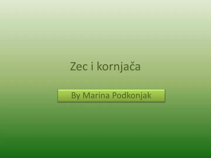 zec i kornja a