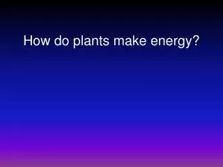 How do plants make energy?