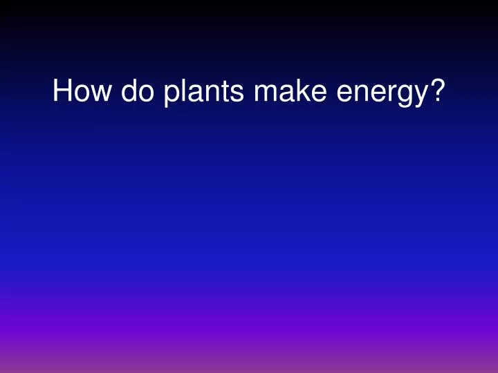 how do plants make energy