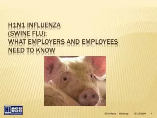 H1N1 INFLUENZA (Swine Flu): What employers and employees need to know