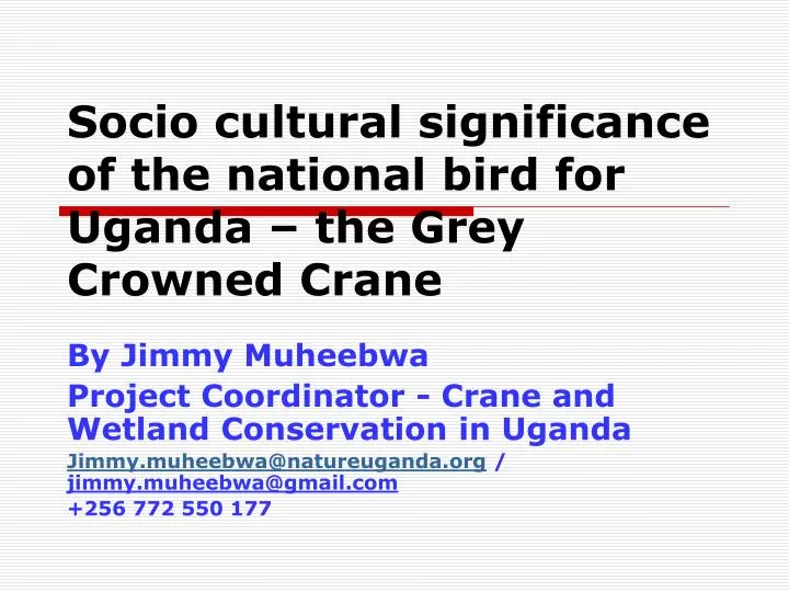 socio cultural significance of the national bird for uganda the grey crowned crane