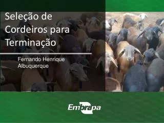 fernando henrique albuquerque