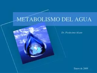 metabolismo del agua