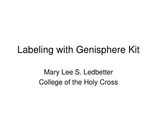Labeling with Genisphere Kit