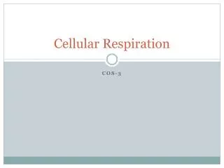 Cellular Respiration