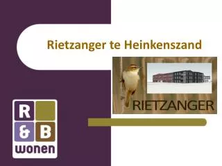 rietzanger te heinkenszand