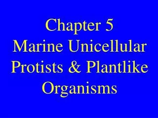 Chapter 5 Marine Unicellular Protists &amp; Plantlike Organisms