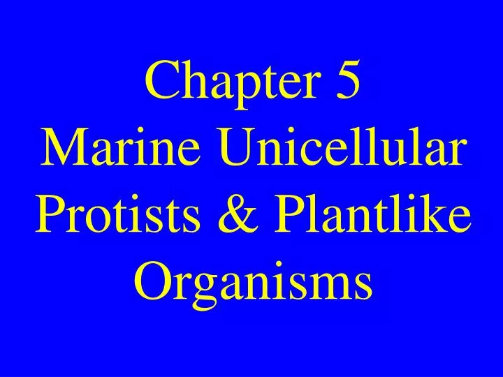 chapter 5 marine unicellular protists plantlike organisms