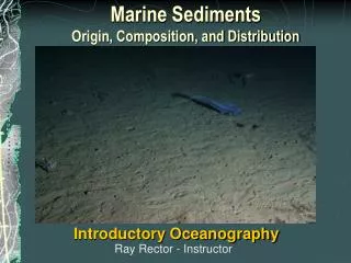 Marine Sediments Origin, Composition, and Distribution